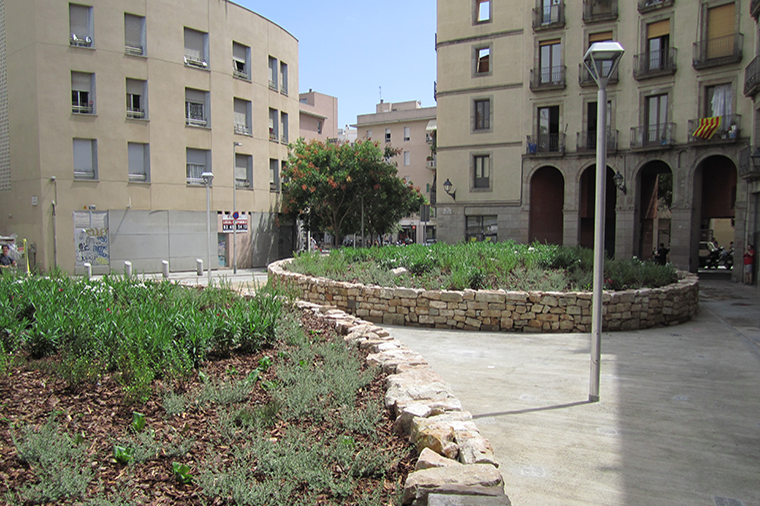 Reg i Jardineria a la Plaça Mestres Casals, Districte Ciutat Vella (Barcelona)
